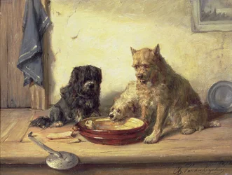Tvisteämne, 1878